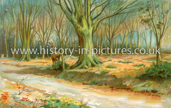 High Beech, Epping Forest, Essex. c.1905